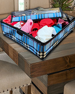 Undergarments Organizer Foldable Storage Box - Organizers - Kanushi