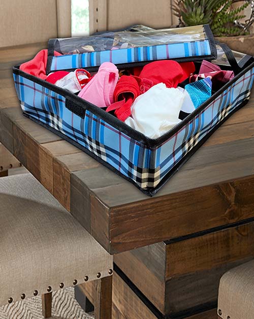 Undergarments Organizer Foldable Storage Box